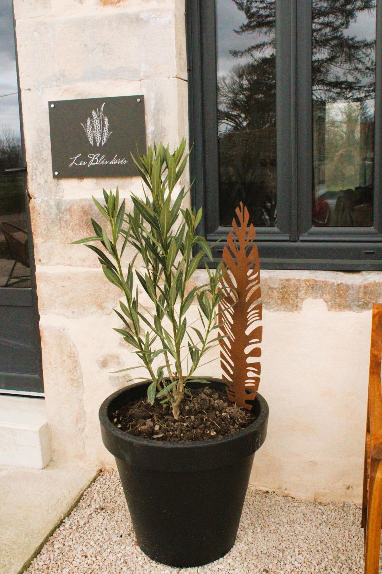 La Bergerie Et Les Bles Dores Villa Palleau Dış mekan fotoğraf